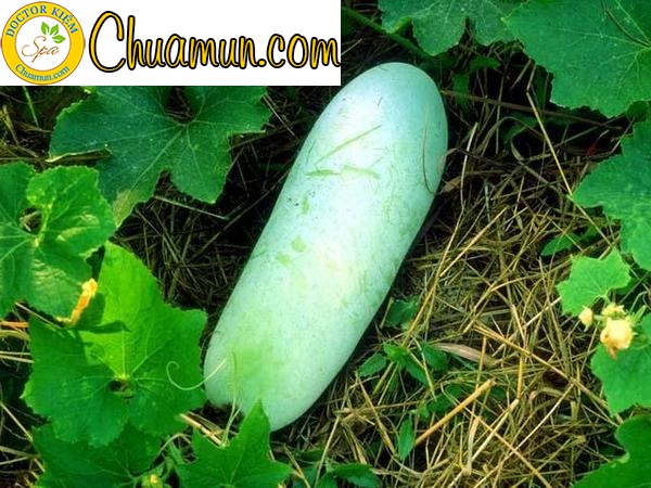 Tư vấn cách trị mụn trứng cá ở mũi an toàn